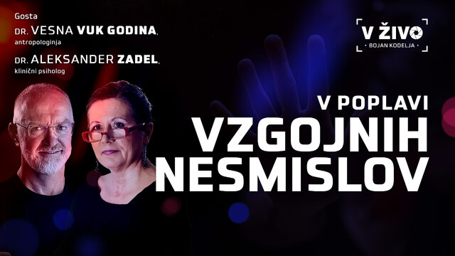 V poplavi vzgojnih nesmislov